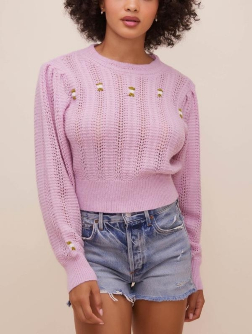ASTR Feminine Light Knit Floral Embroidered Coquette Wool Pointelle Sweater